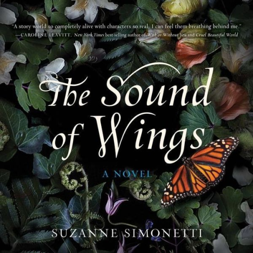 Suzanne Simonetti - The Sound of Wings