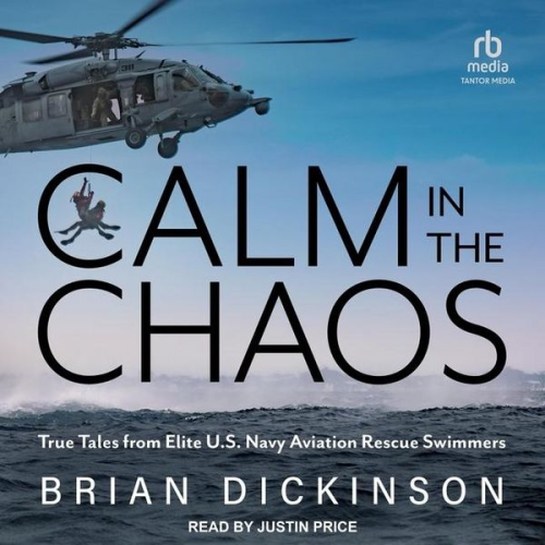 Brian Dickinson - Calm in the Chaos