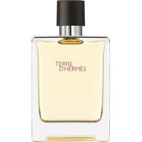 Herm&egrave;s Terre d'Herm&egrave;s Eau de Toilette (EdT) 100 ml