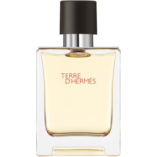 Herm&egrave;s Terre d'Herm&egrave;s Eau de Toilette (EdT) 50 ml