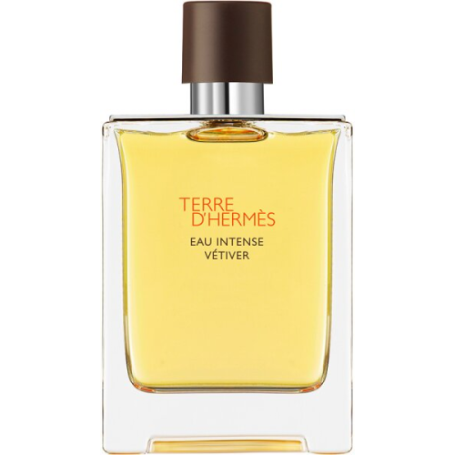 Herm&egrave;s Terre d'Herm&egrave;s Eau Intense V&eacute;tiver Eau de Parfum (EdP) 100 ml