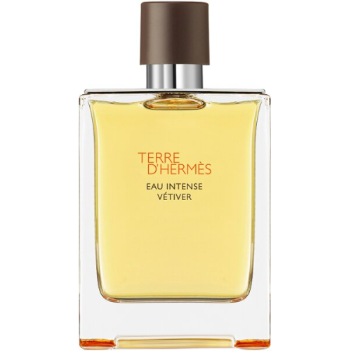 Herm&egrave;s Terre d'Herm&egrave;s Eau Intense V&eacute;tiver Eau de Parfum (EdP) 200 ml