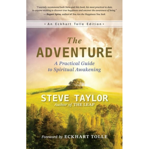 Steve Taylor - The Adventure