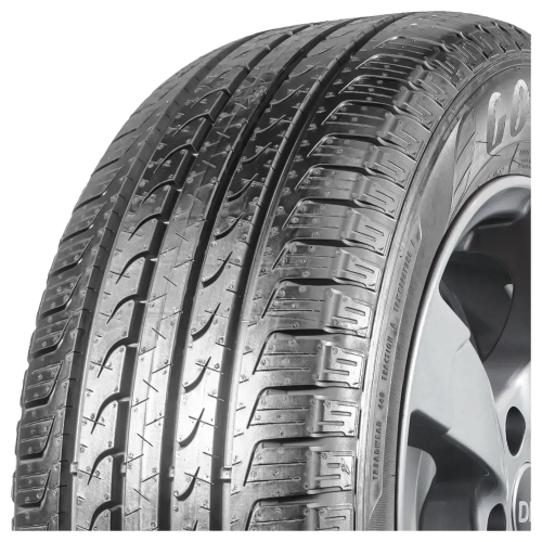 225/55 R19 99V EfficientGrip SUV