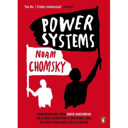 Noam Chomsky - Power Systems