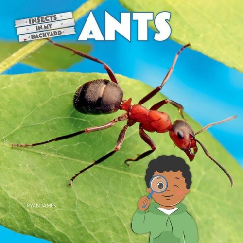 Ryan James - Ants