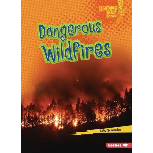 Lola M. Schaefer - Dangerous Wildfires