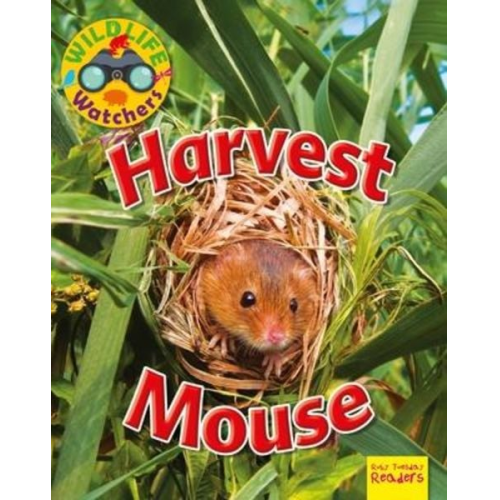 Ruth Owen - Harvest Mouse