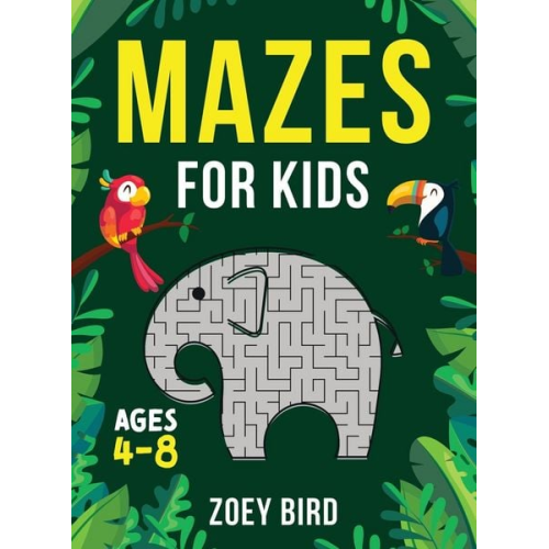 Mazes for Kids, Volume 2