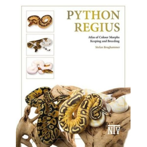 Stefan Broghammer - Python regius