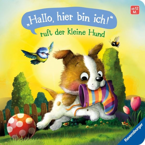 Sabine Praml - "Hallo, hier bin ich!" - Hund (AT)