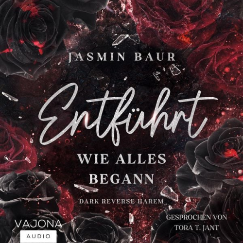 Jasmin Baur - Entführt