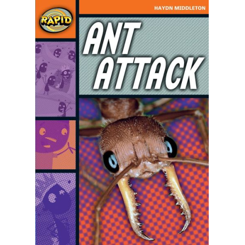 Haydn Middleton - Rapid Reading: Ant Attack (Stage 4, Level 4B)