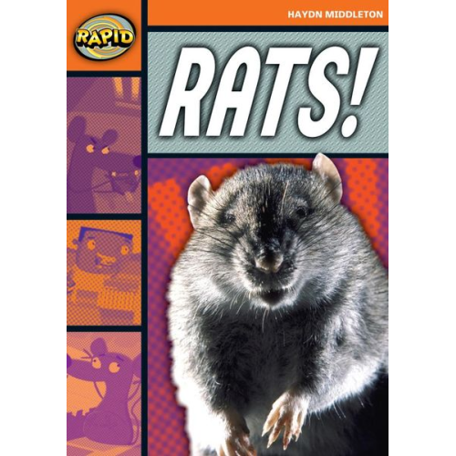 Haydn Middleton - Rapid Reading: Rats! (Stage 4, Level 4B)