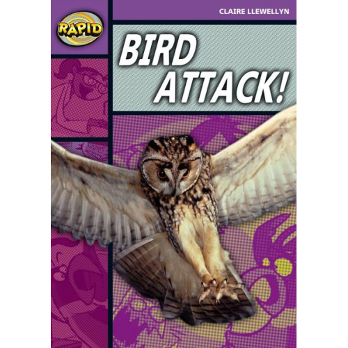 Claire Llewellyn - Rapid Reading: Bird Attack! (Stage 1, Level B)