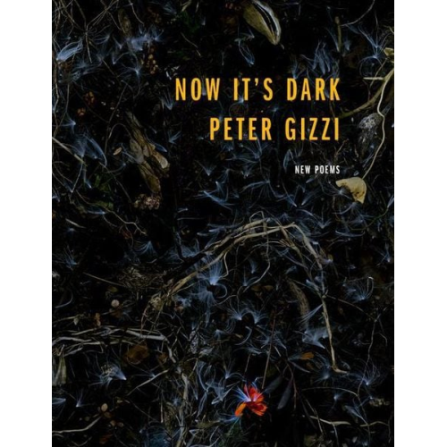 Peter Gizzi - Now It's Dark