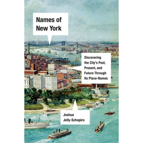 Joshua Jelly-Schapiro - Names of New York