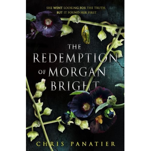 Chris Panatier - The Redemption of Morgan Bright