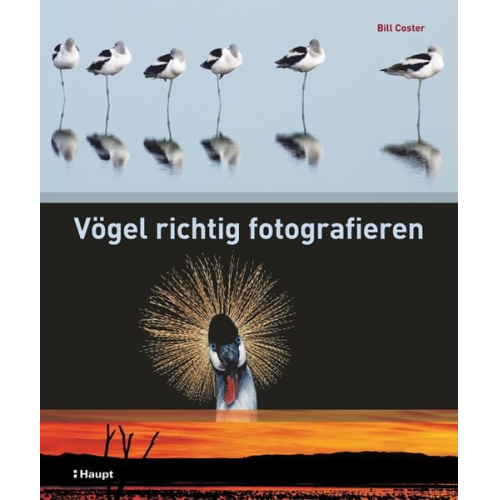 Bill Coster - Vögel richtig fotografieren