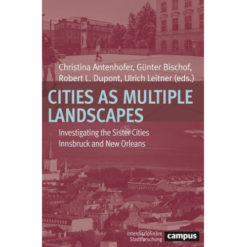 Cities as Multiple Landscapes