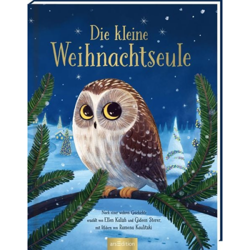 Ellen Kalish Gideon Sterer - Die kleine Weihnachtseule