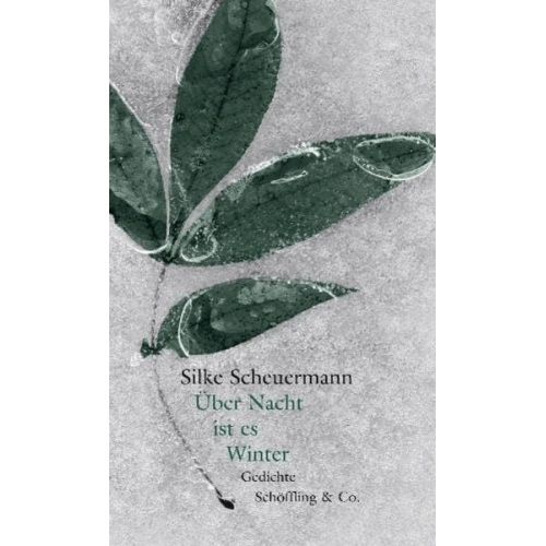 Silke Scheuermann - Über Nacht ist es Winter (Gebundene Ausgabe)