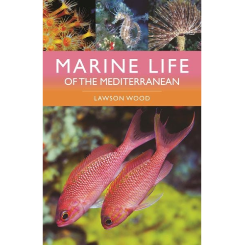 Lawson Wood - Marine Life of the Mediterranean