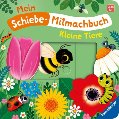 Bernd Penners - Mein Schiebe-Mitmachbuch - Kleine Tiere