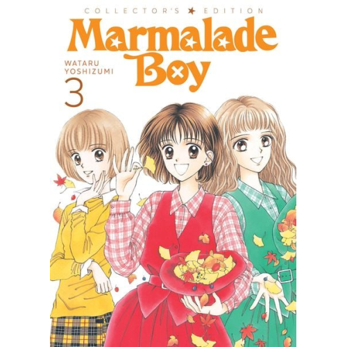 Wataru Yoshizumi - Marmalade Boy: Collector's Edition 3