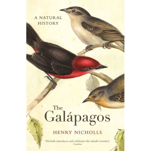 Henry Nicholls - The Galapagos