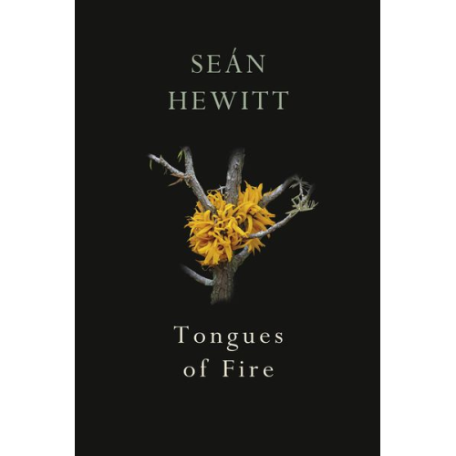 Sean Hewitt - Tongues of Fire