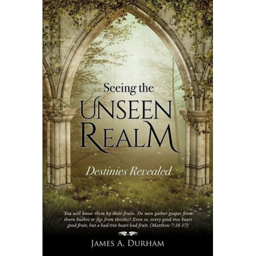James a. Durham - Seeing the Unseen Realm