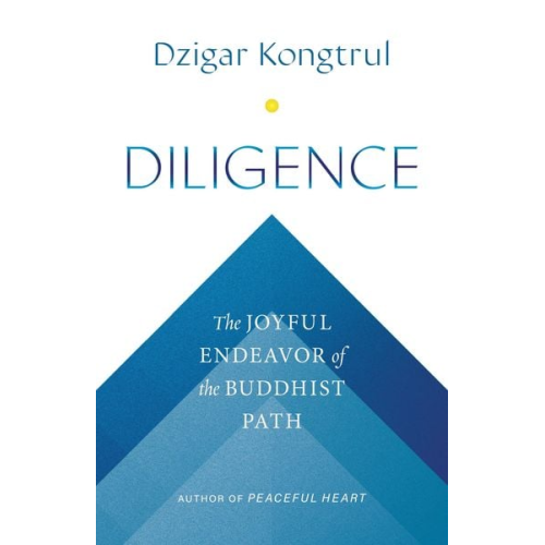 Dzigar Kongtrul - Diligence