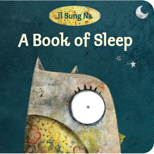 Il Sung Na - A Book of Sleep