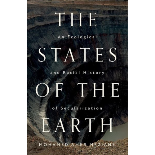 Mohamed Amer Meziane - The States of the Earth