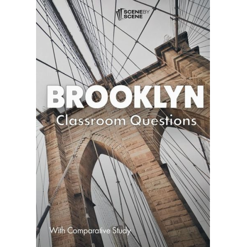 Amy Farrell - Brooklyn Classroom Questions for Comparative Study