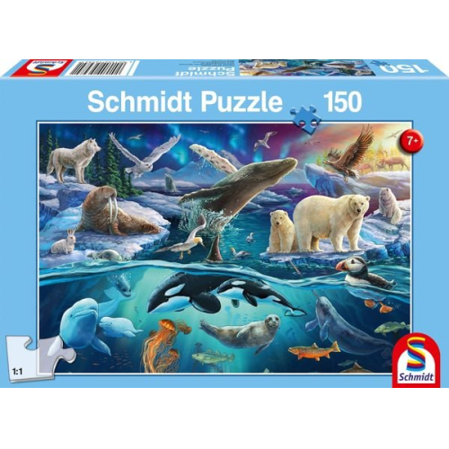 Schmidt Spiele - Tiere in der Arktis, 150 Teile