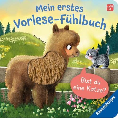 Kathrin Lena Orso - Mein erstes Vorlese-Fühlbuch - Bist du eine Katze?