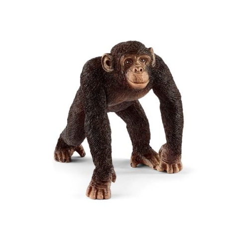 Schleich 14817 - Wild Life, Schimpanse Männchen, Tierfigur