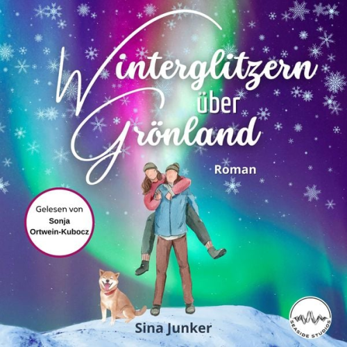 Sina Junker - Winterglitzern über Grönland