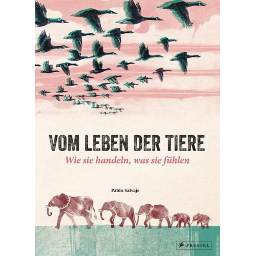 Pablo Salvaje - Vom Leben der Tiere. Wie sie handeln, was sie fühlen