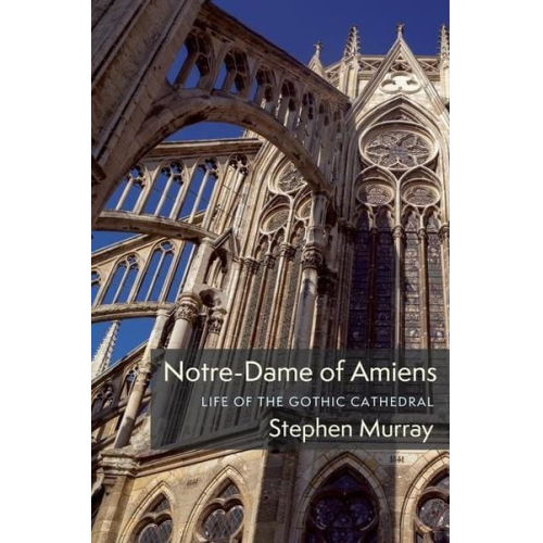 Stephen Murray - Notre-Dame of Amiens