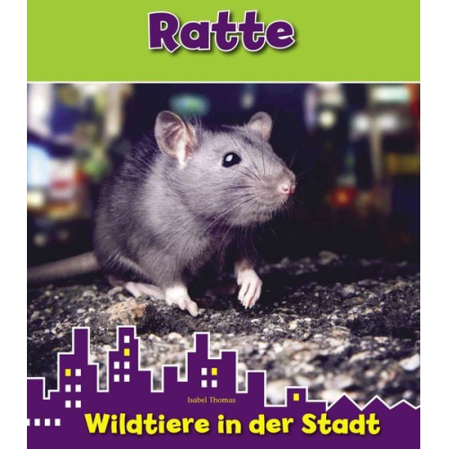 Isabel Thomas - Ratte