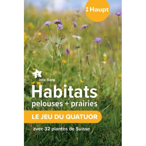 Habitats pelouses et prairies - le jeu du quatuor