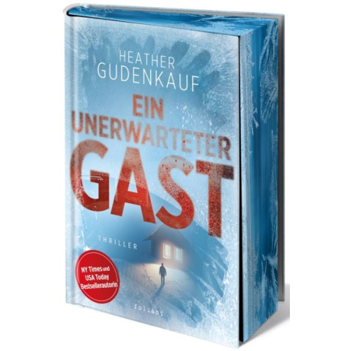 Heather Gudenkauf - Ein unerwarteter Gast