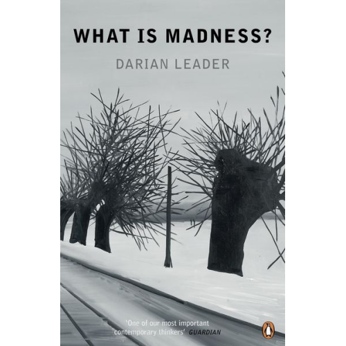 Darian Leader - What is Madness?