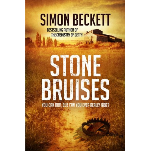 Simon Beckett - Stone Bruises