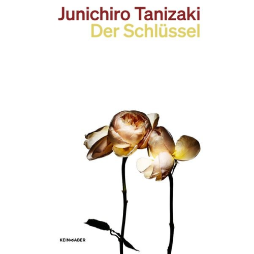 Junichiro Tanizaki - Der Schlüssel