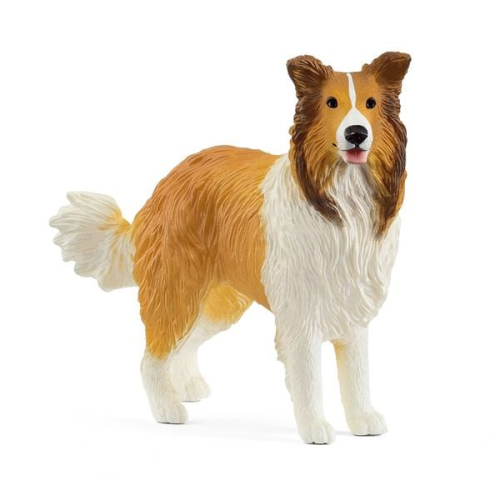 13998 Collie