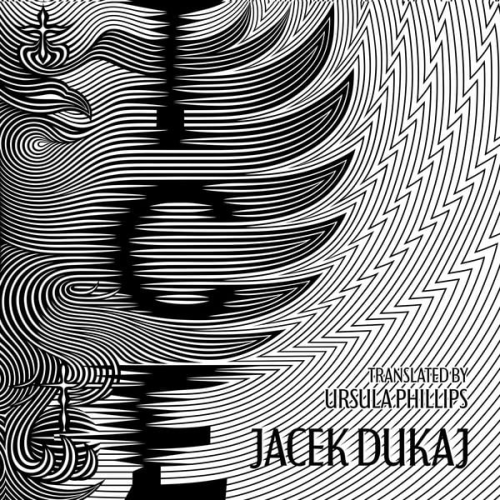 Jacek Dukaj - Ice